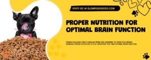 Proper Nutrition For Optimal Brain Function