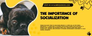 The Importance Of Socialization