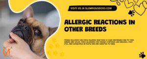 Allergic Reactions In Other Breeds