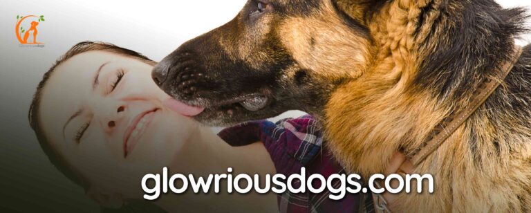 Are German Shepherds Cuddlers? Understanding Affectionate Behaviour