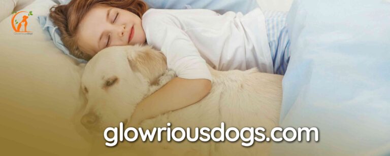 Do Golden Retrievers Like to Cuddle? Understanding Their Affectionate Nature