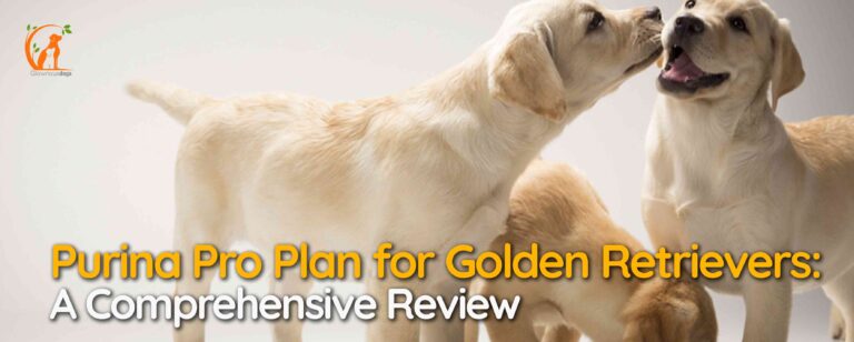Purina Pro Plan for Golden Retrievers: A Comprehensive Review