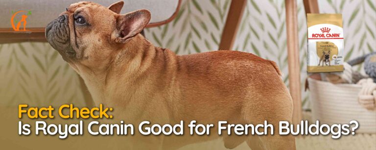 Is Royal Canin Good for French Bulldogs