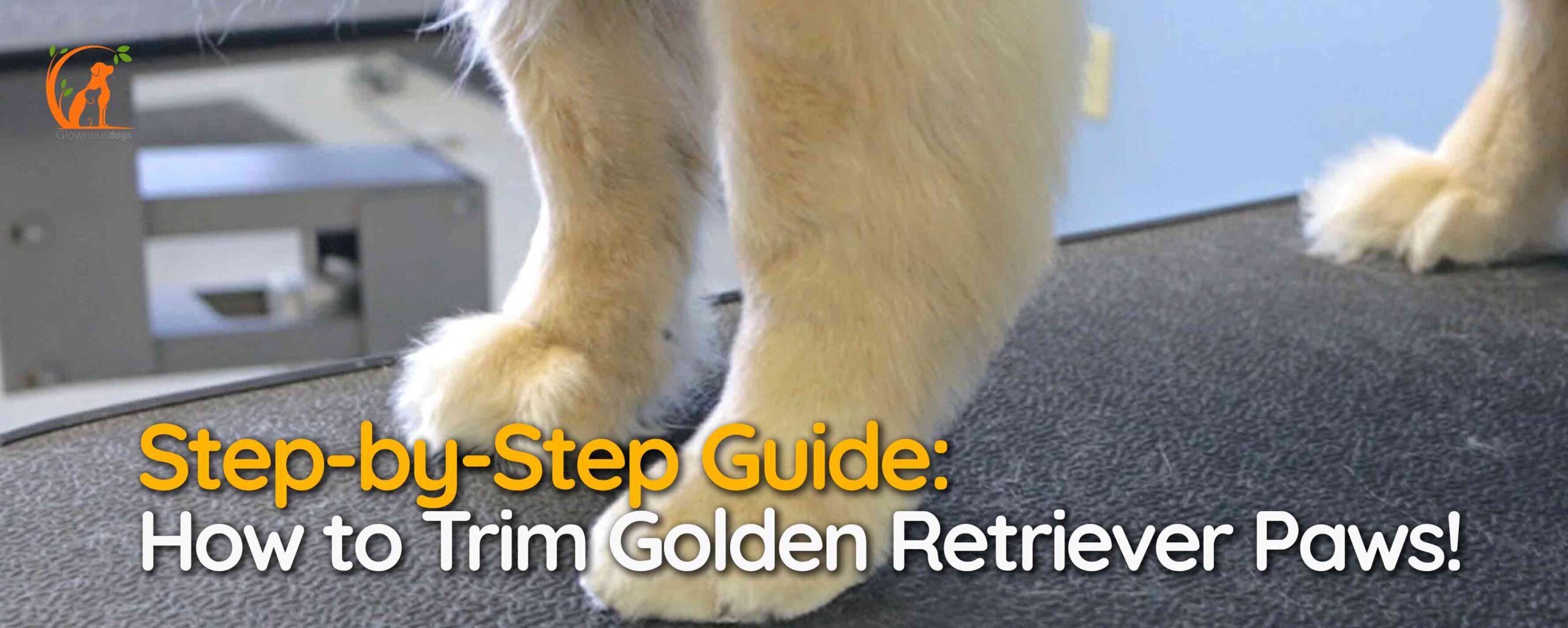 Step-by-Step Guide: How to Trim Golden Retriever Paws!