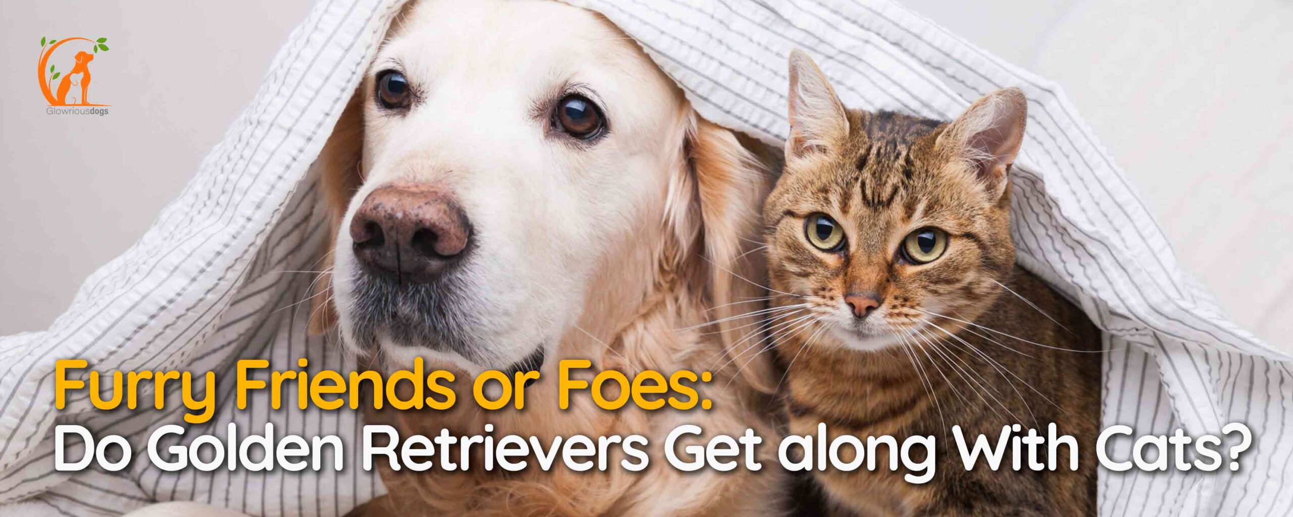 Furry Friends or Foes: Do Golden Retrievers Get along With Cats?