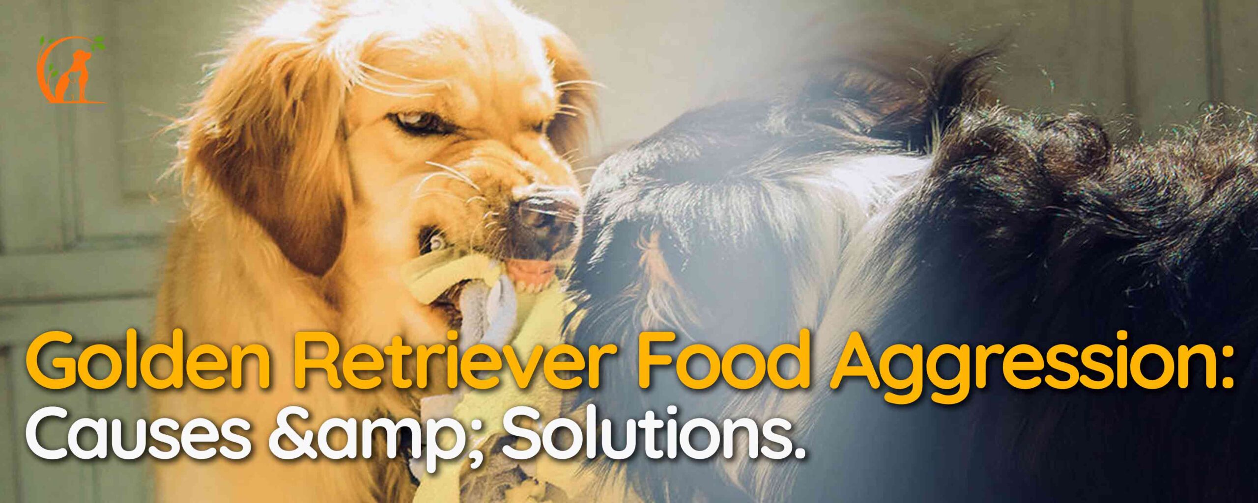 Golden Retriever Food Aggression: Causes & Solutions.