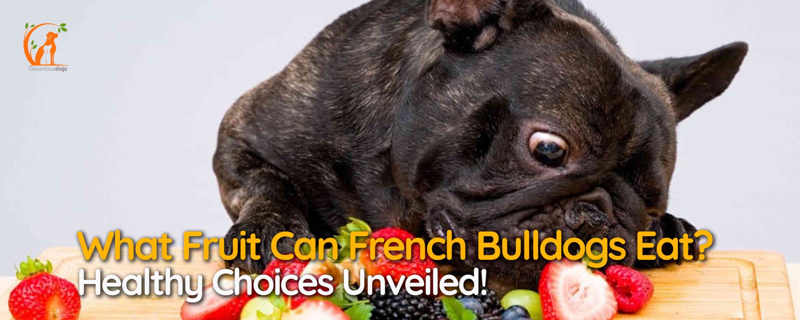 What Fruit Can French Bulldogs Eat? Healthy Choices Unveiled!