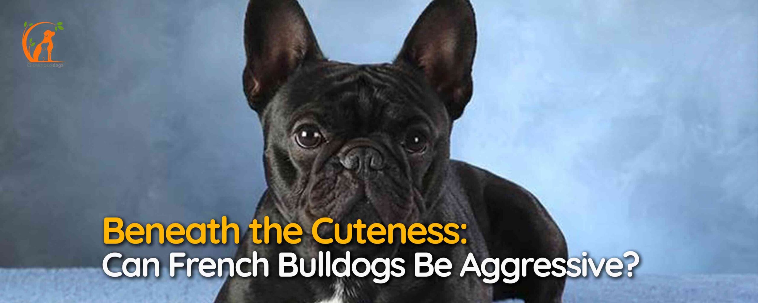 Beneath the Cuteness: Can French Bulldogs Be Aggressive?