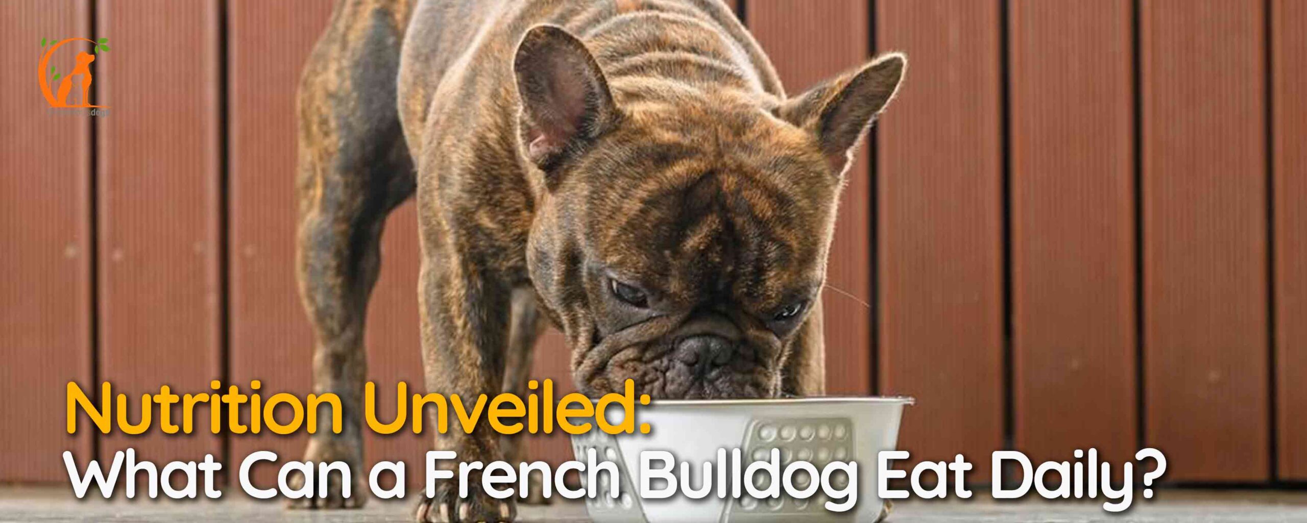 Nutrition Unveiled: What Can a French Bulldog Eat Daily?