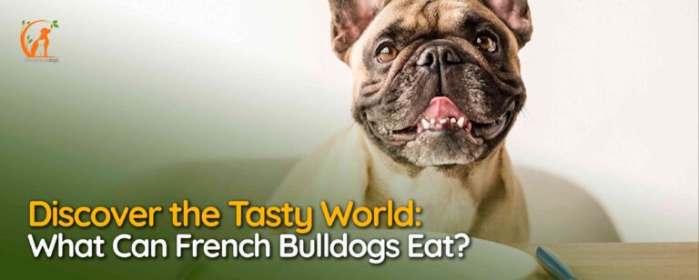 What Can French Bulldogs Eat