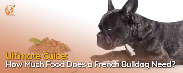 How Much Food Does a French Bulldog Need