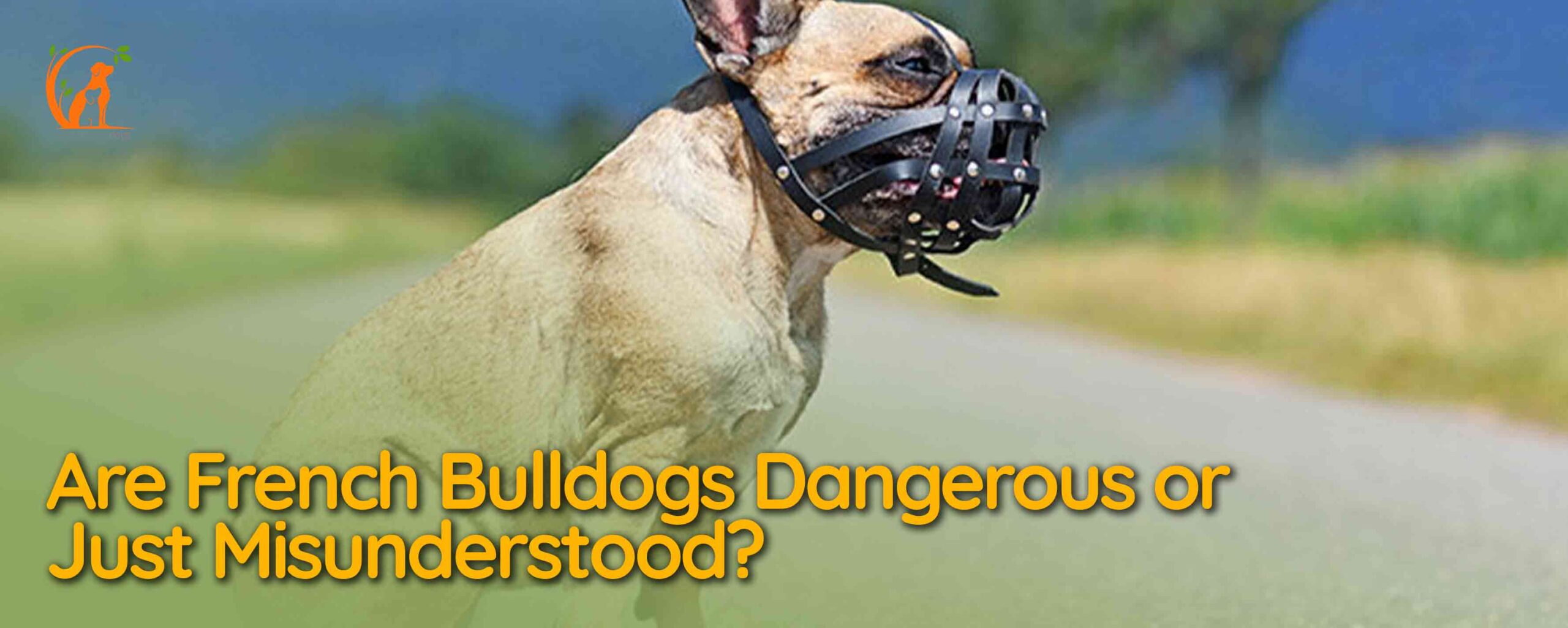 Are French Bulldogs Dangerous