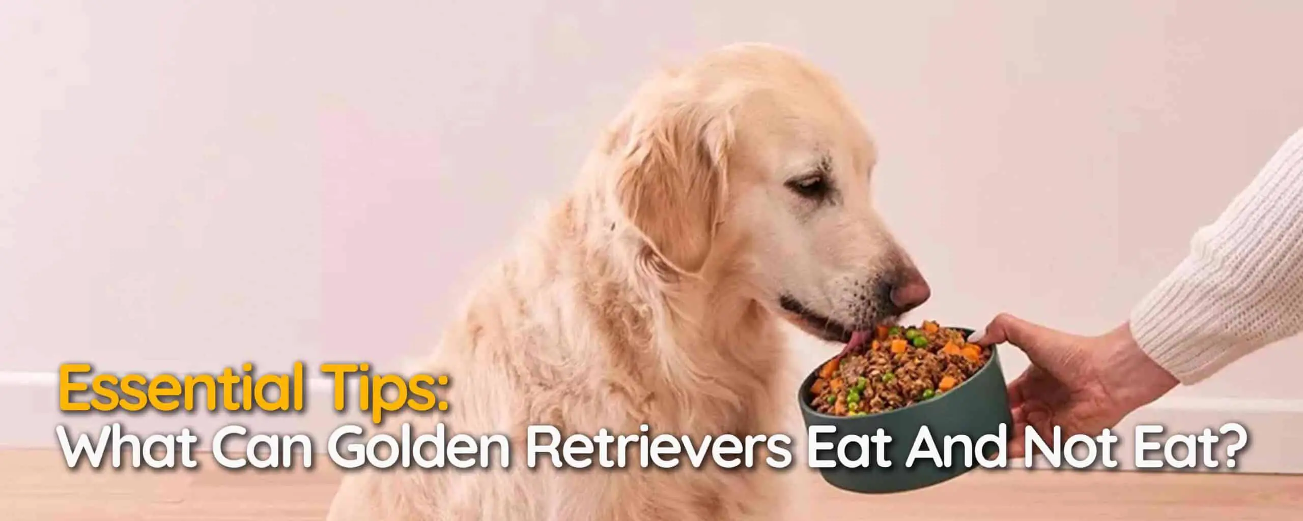 Essential Tips: What Can Golden Retrievers Eat And Not Eat?