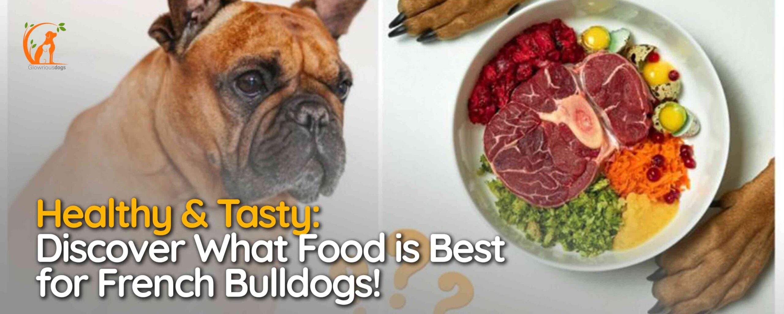 What Food is Best for French Bulldogs