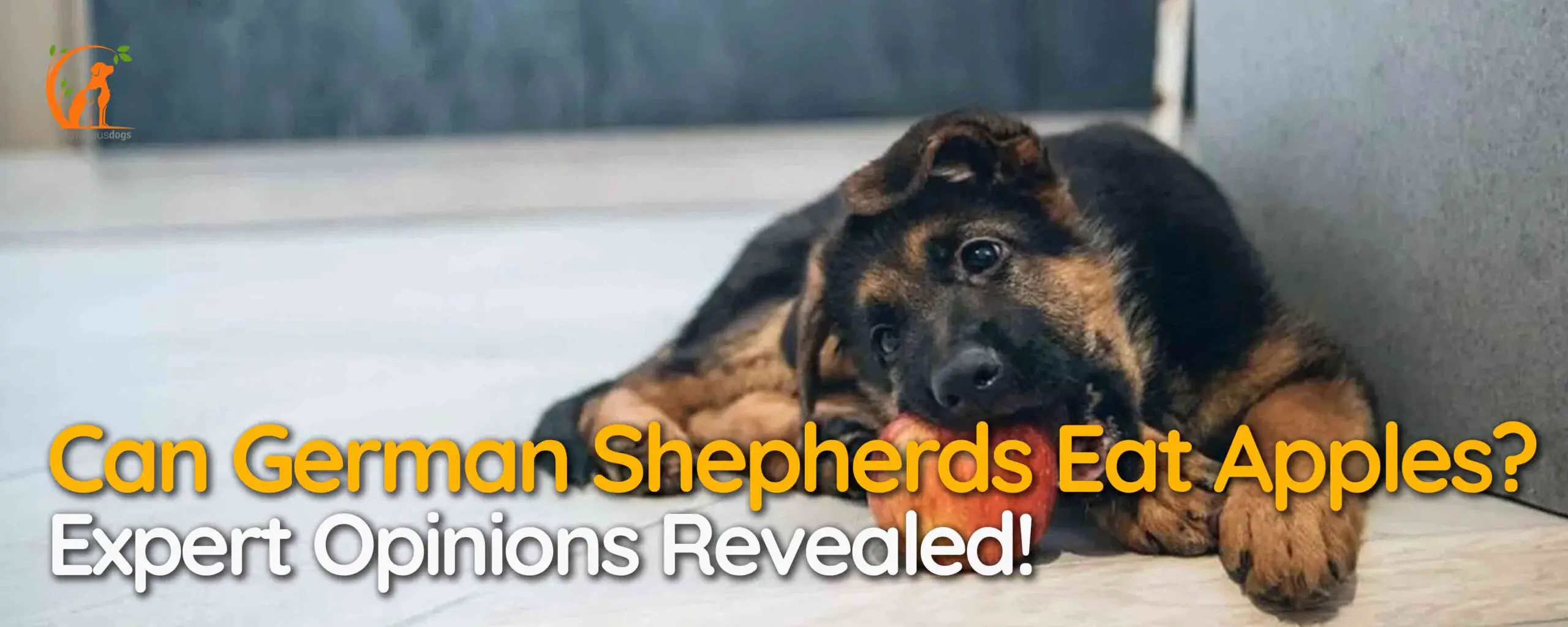 Can German Shepherds Eat Apples? Expert Opinions Revealed!