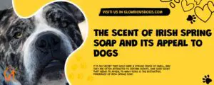 The Scent Of Irish Spring Soap And Its Appeal To Dogs
