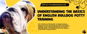 Understanding The Basics Of English Bulldog Potty Training