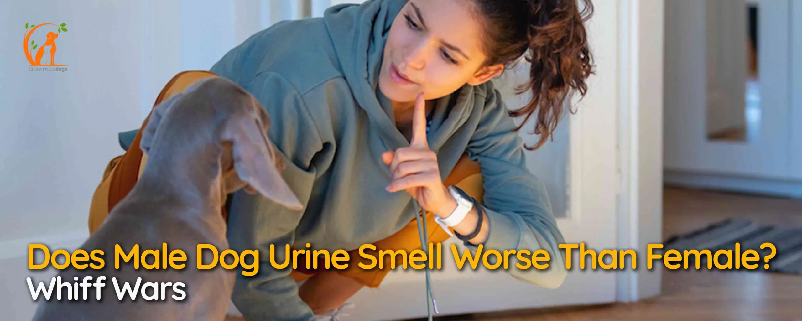 Does Male Dog Urine Smell Worse Than Female? Whiff Wars
