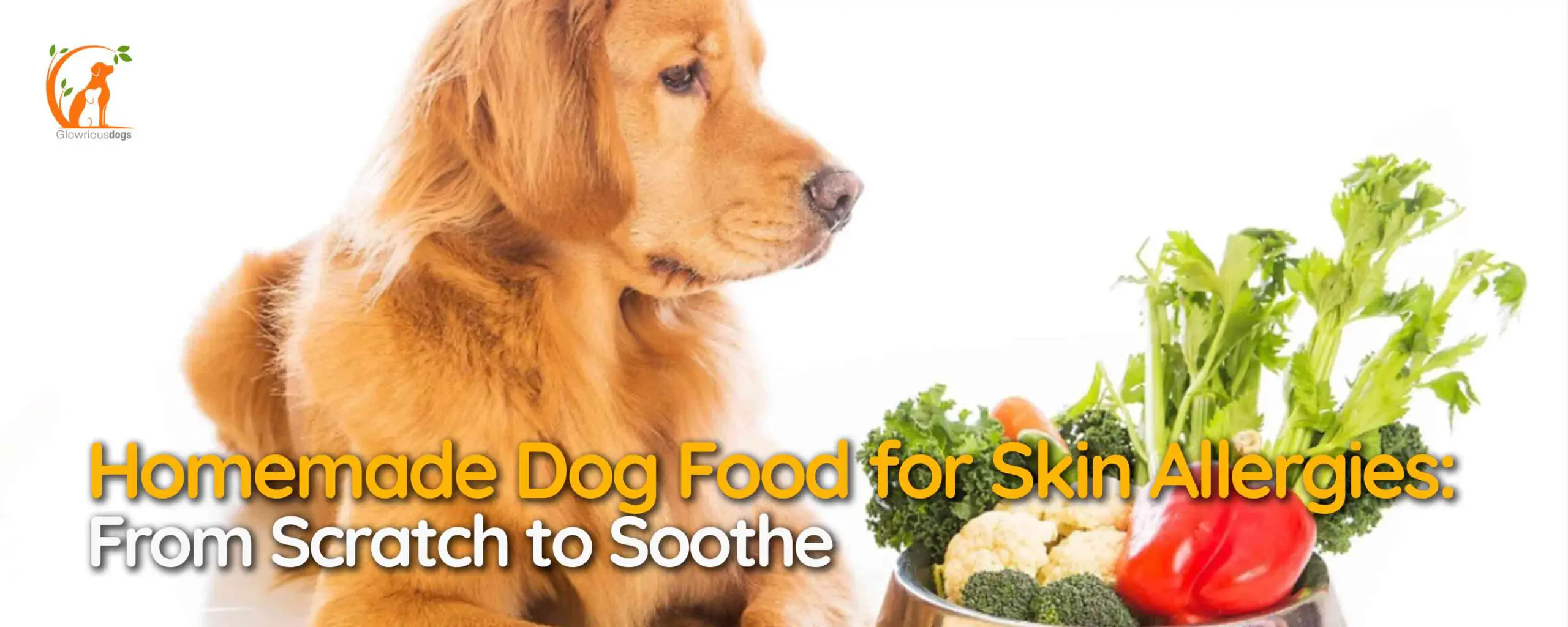 Homemade Dog Food for Skin Allergies: From Scratch to Soothe