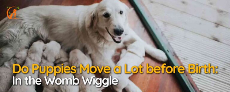 Do Puppies Move a Lot before Birth: In the Womb Wiggle