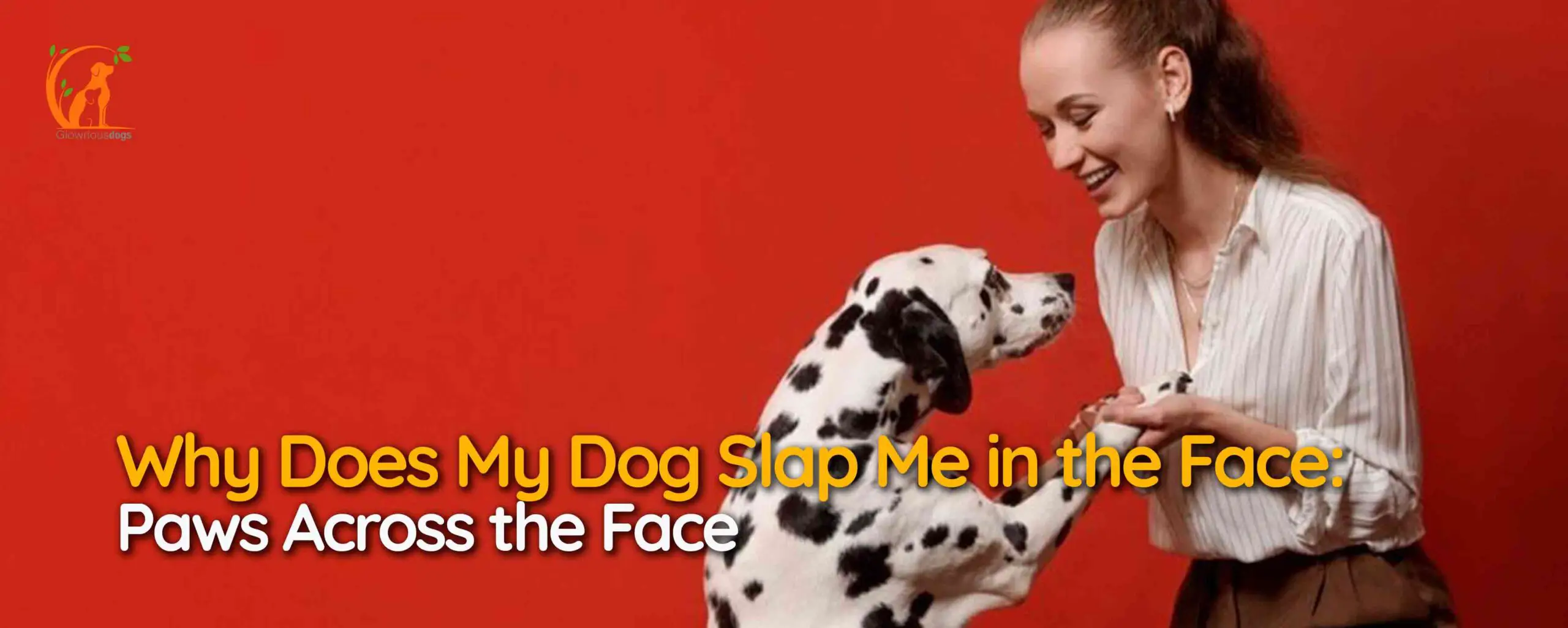 Why Does My Dog Slap Me in the Face: Paws Across the Face