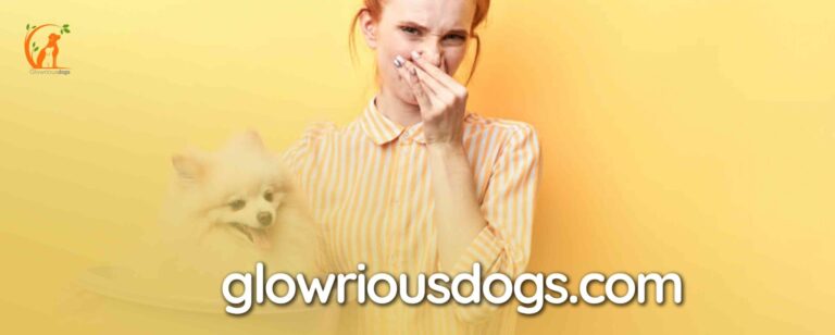 Does Male Dog Urine Smell Worse than Female? | Odor Remedies