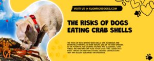 The Risks Of Dogs Eating Crab Shells