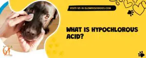 What Is Hypochlorous Acid?