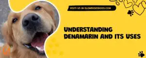 Understanding Denamarin And Its Uses