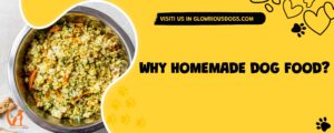 Why Homemade Dog Food?