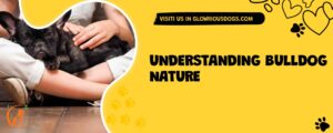 Understanding Bulldog Nature