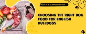 Choosing The Right Dog Food For English Bulldogs