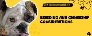 Breeding And Ownership Considerations