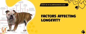 Factors Affecting Longevity