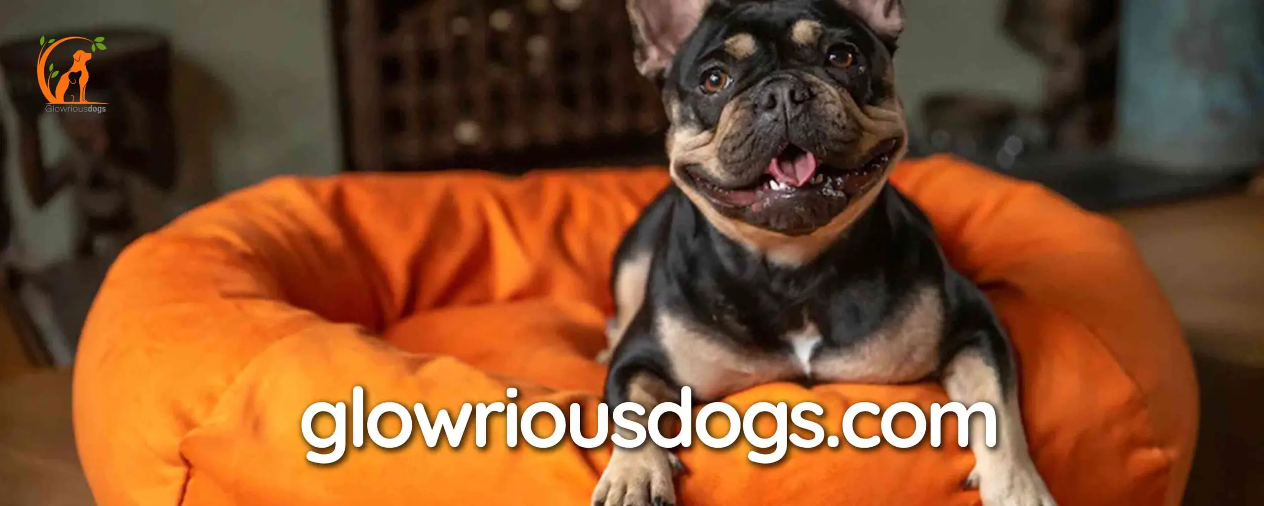 Pamper Your Pooch: Best Dog Beds for Bulldogs Revealed!