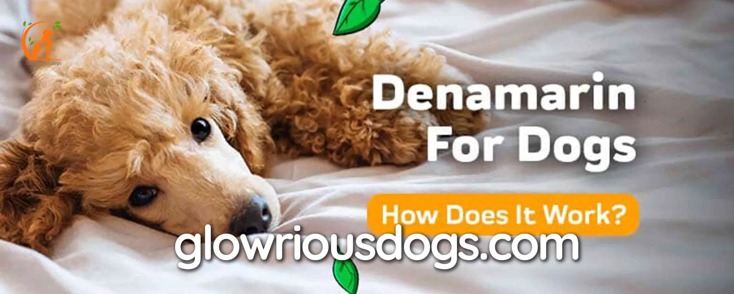 Unveiling the Truth: Can a Dog Overdose on Denamarin?