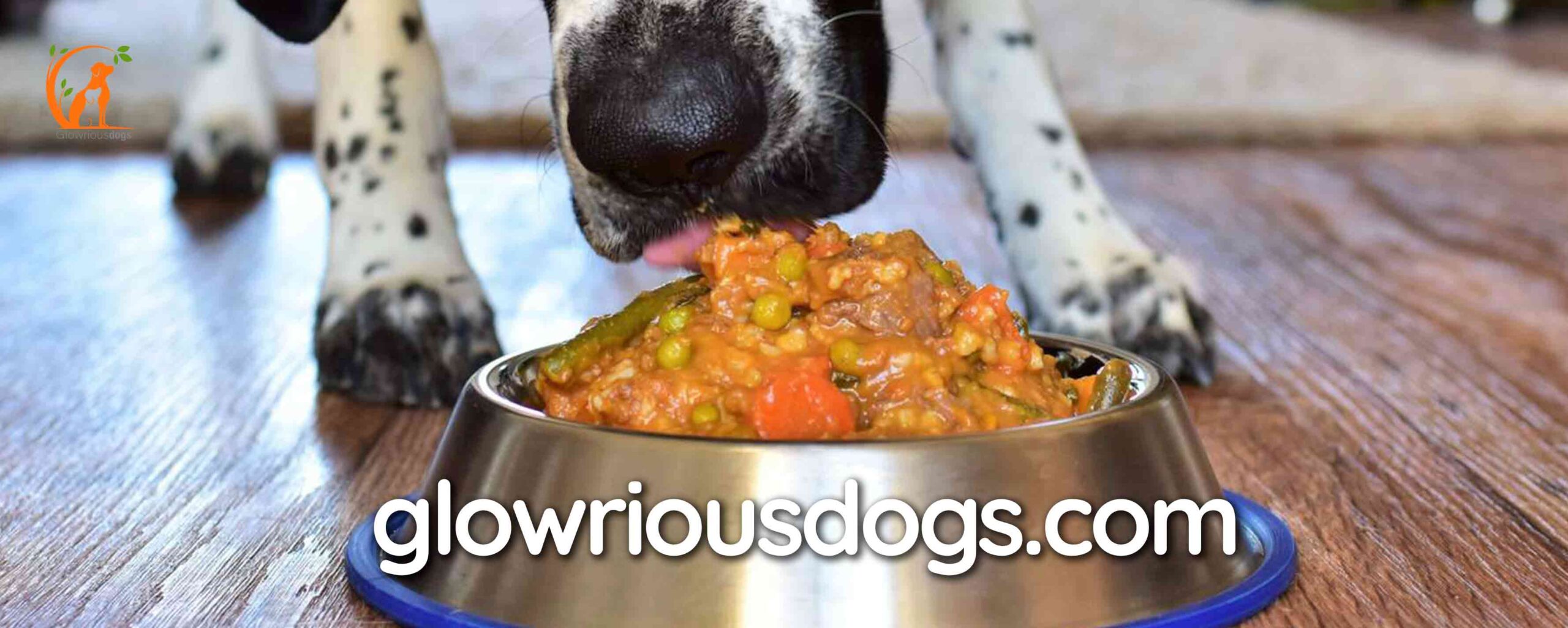 Bark-Worthy Recipes: Unleash the Best Homemade Dog Food for Allergies!