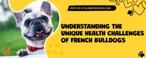 Understanding The Unique Health Challenges Of French Bulldogs