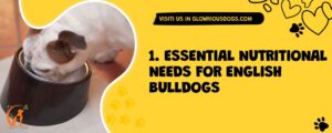 1. Essential Nutritional Needs For English Bulldogs