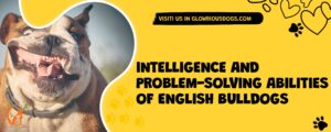 Intelligence And Problem-solving Abilities Of English Bulldogs