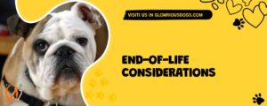 End-of-life Considerations