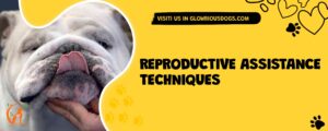 Reproductive Assistance Techniques