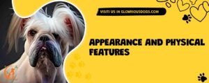 Appearance And Physical Features