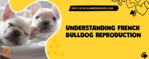 Understanding French Bulldog Reproduction