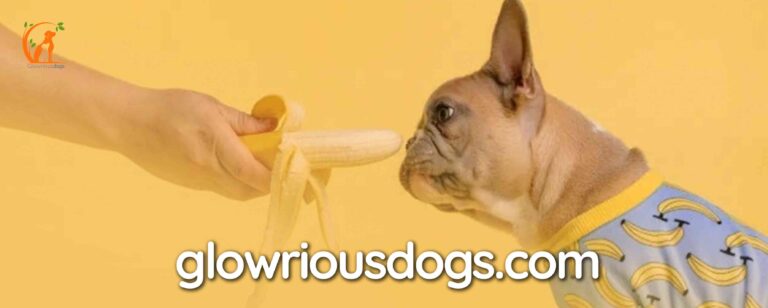 What Can French Bulldogs Not Eat? Essential Guide